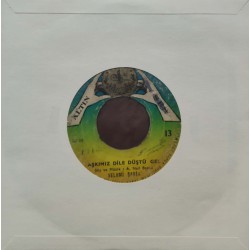 Selami Şahin: Sarmaşık Güle Dolaştım & Aşkımız Dile Düştü Gel / Plak