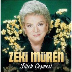 Zeki Müren: Dilek Çeşmesi / Plak