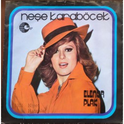 Neşe Karaböcek: Niyet & Hatıralar / Kapak