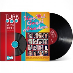 Türk Pop Müzik Tarihi 1960 -70'lı Yıllar Vol. 2 / Plak