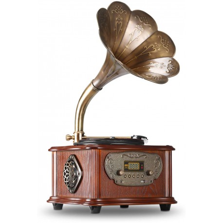 Record Master RMJ-209C Gramofon Pikap - Radyo - Bluetooth - USB - 33, 45 Devir Plak Çalar