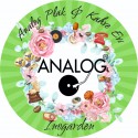 Analog Plak & Kahve Evi Inogarden