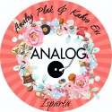 Analog Plak & Kahve Evi Isparta